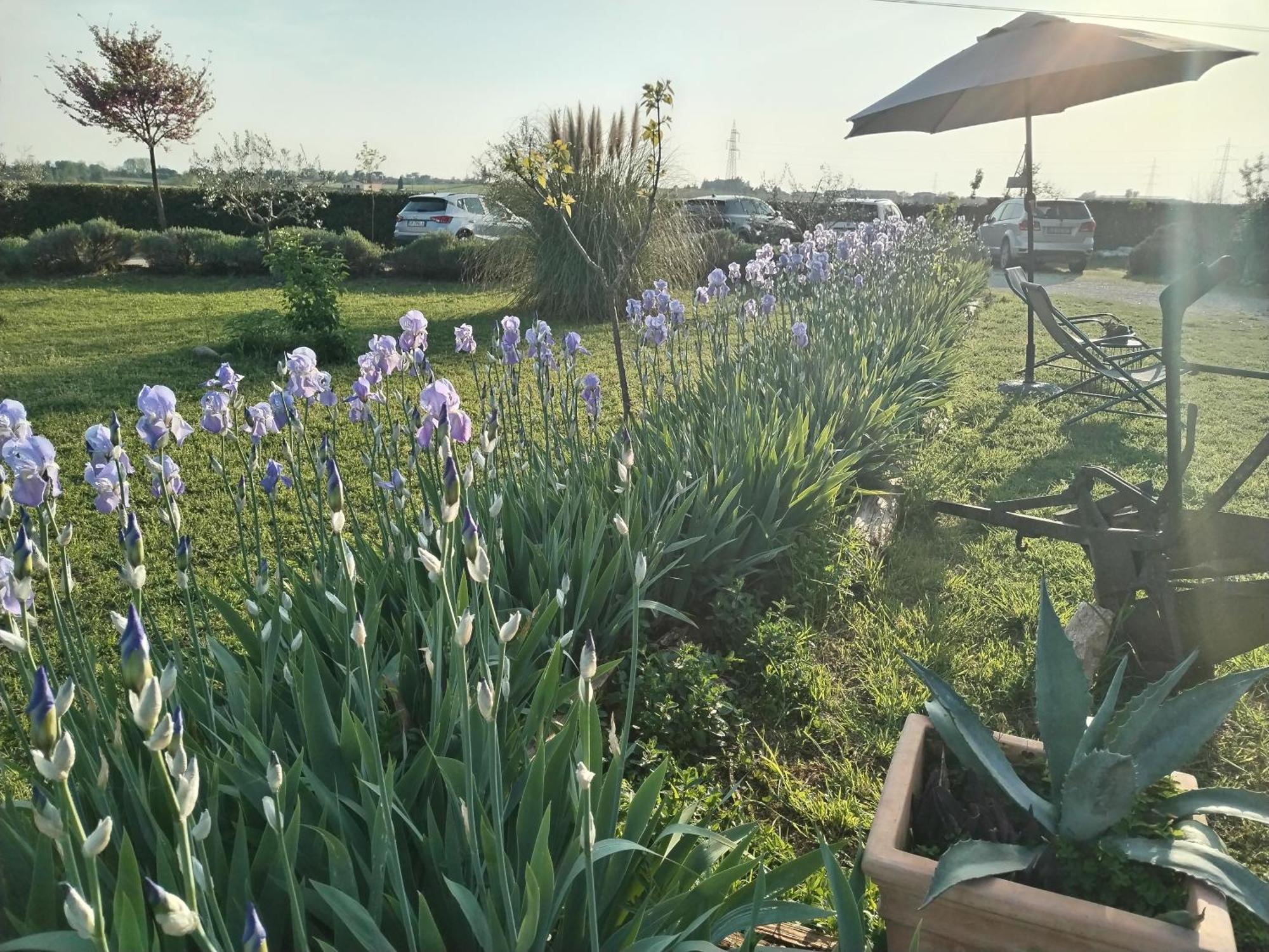 Bed and Breakfast Ca' Blanca Castelnuovo del Garda Exterior foto